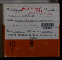 Image Associated With the Occurence